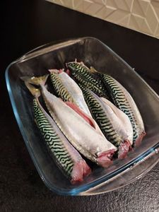 Mackerel