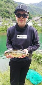 Largemouth Bass