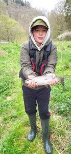 Rainbow Trout