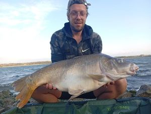 Mirror Carp