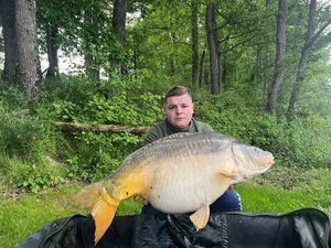 Mirror Carp