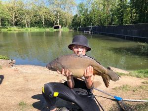 Common Carp