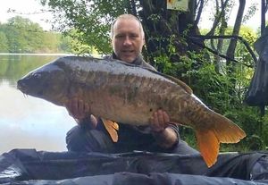Mirror Carp
