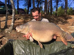 Mirror Carp