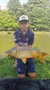 Mirror Carp