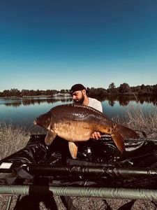 Mirror Carp