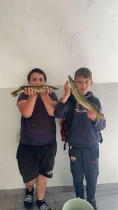 Northern Pike