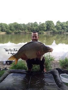 Mirror Carp