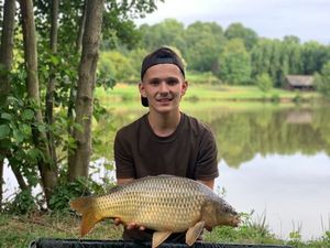 Common Carp