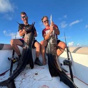 Pacific Sailfish