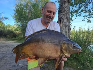Mirror Carp