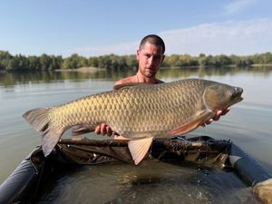 Grass Carp
