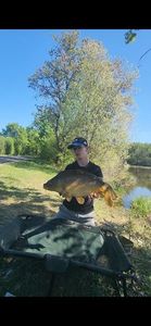 Mirror Carp