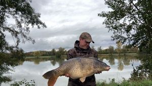 Common Carp