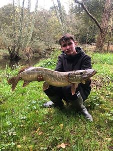 Northern Pike