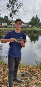 European Perch