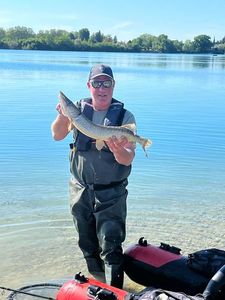 Northern Pike