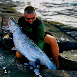 Tarpon