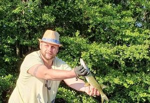 Northern Pike