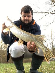 Northern Pike