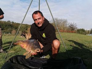 Mirror Carp