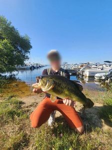 Smallmouth Bass