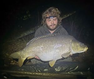 Mirror Carp