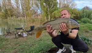 Common Carp