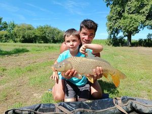 Common Carp