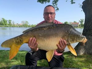 Mirror Carp