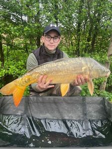 Mirror Carp