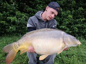 Mirror Carp