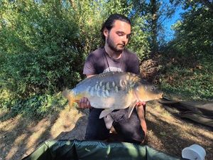 Mirror Carp