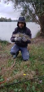 Zander