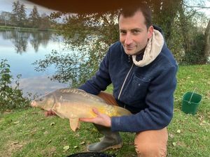 Mirror Carp