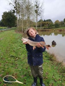 Northern Pike
