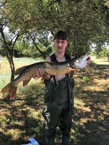 Northern Pike