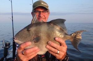 Triggerfish