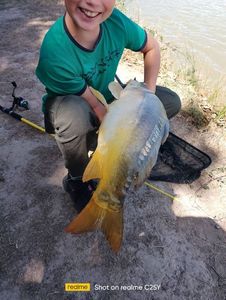 Mirror Carp