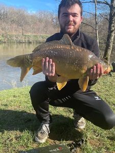 Leather Carp