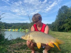 Common Carp