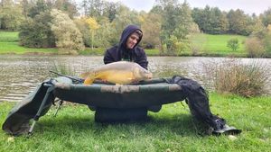 Mirror Carp