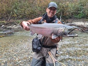 Coho Salmon