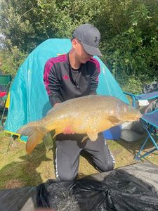 Mirror Carp