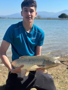 Grass Carp