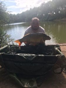 Common Carp