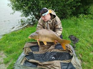 Common Carp