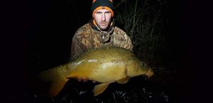 Mirror Carp