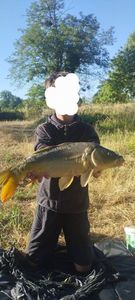 Mirror Carp