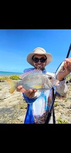 Alexandria Pompano